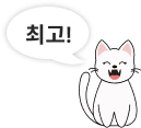최고 아이콘
