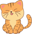 주관식암기 고양이